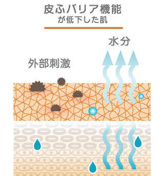 健康な肌
