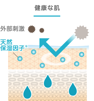 皮ふバリア機能が低下した肌
